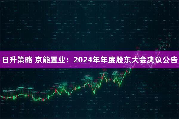 日升策略 京能置业：2024年年度股东大会决议公告