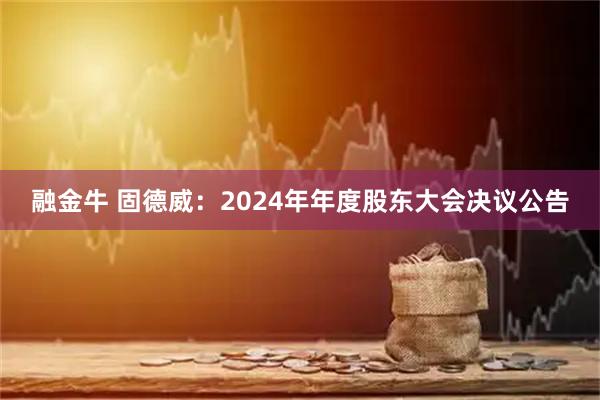 融金牛 固德威：2024年年度股东大会决议公告
