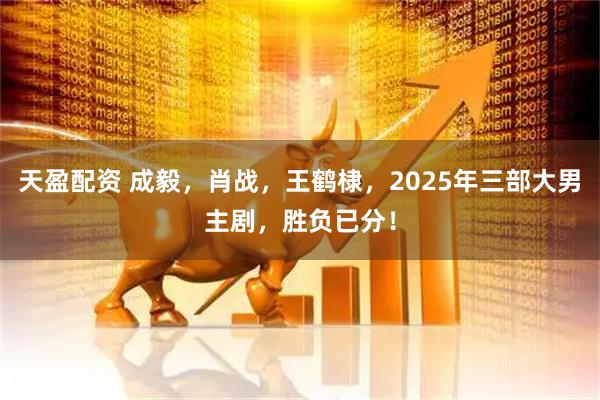 天盈配资 成毅，肖战，王鹤棣，2025年三部大男主剧，胜负已分！
