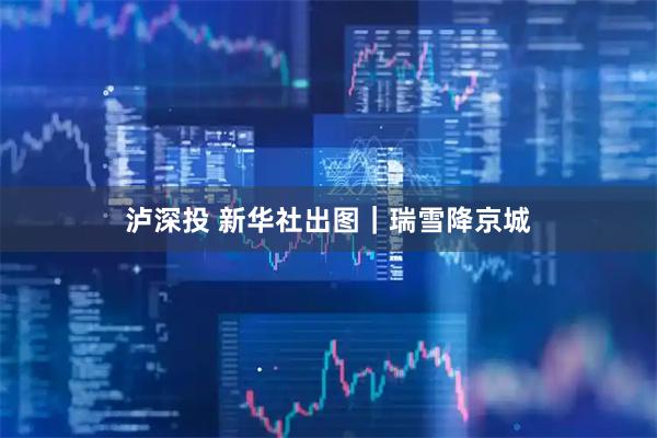 泸深投 新华社出图｜瑞雪降京城