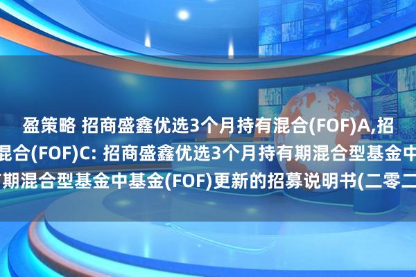 盈策略 招商盛鑫优选3个月持有混合(FOF)A,招商盛鑫优选3个月持有混合(FOF)C: 招商盛鑫优选3个月持有期混合型基金中基金(FOF)更新的招募说明书(二零二五年第一号)