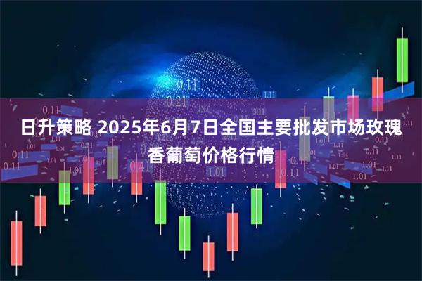 日升策略 2025年6月7日全国主要批发市场玫瑰香葡萄价格行情