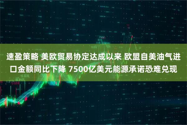 速盈策略 美欧贸易协定达成以来 欧盟自美油气进口金额同比下降 7500亿美元能源承诺恐难兑现