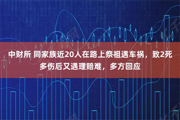 中财所 同家族近20人在路上祭祖遇车祸，致2死多伤后又遇理赔难，多方回应