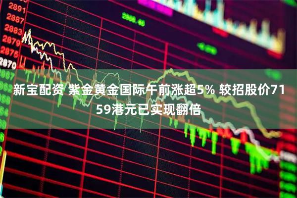 新宝配资 紫金黄金国际午前涨超5% 较招股价7159港元已实现翻倍
