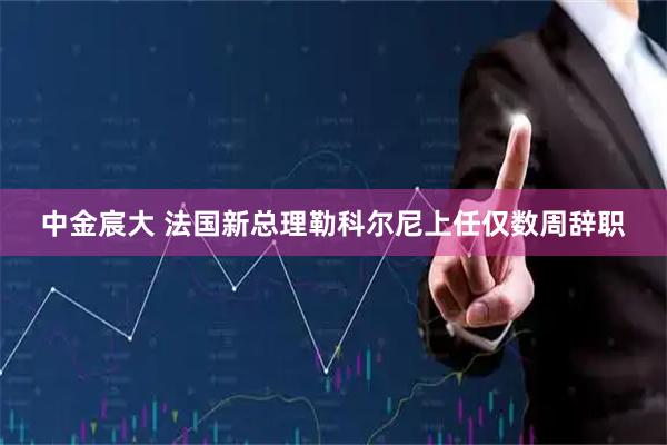 中金宸大 法国新总理勒科尔尼上任仅数周辞职